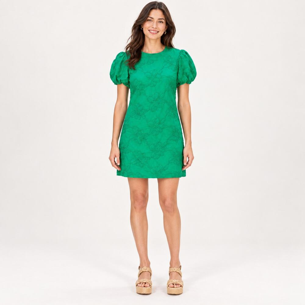J.Crew Dress WMNS 0 Green Floral Embroidered Puff Sleeve Cotton Mini Cottagecore